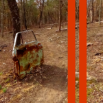 Sunday Driver Orange, 2016